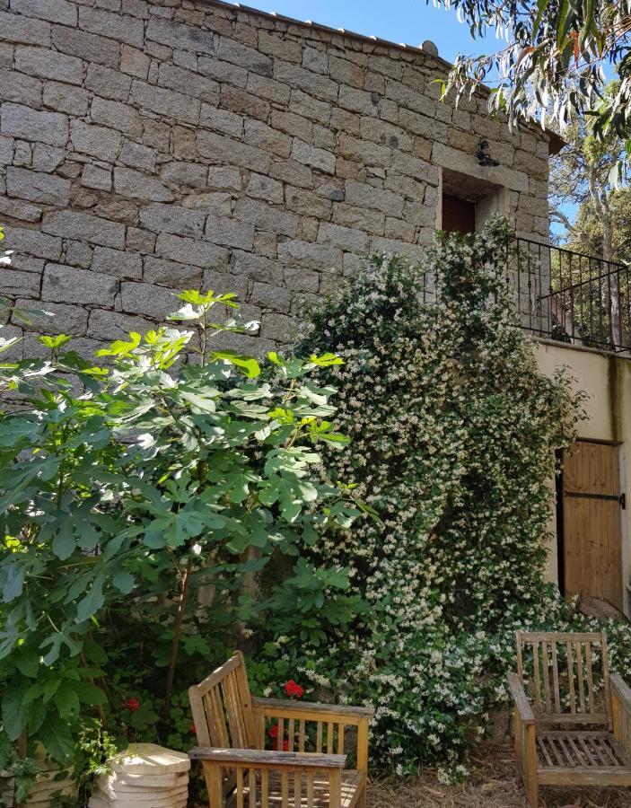 Couette-café D'hôtes Barraconu Porto-Vecchio (Corsica)