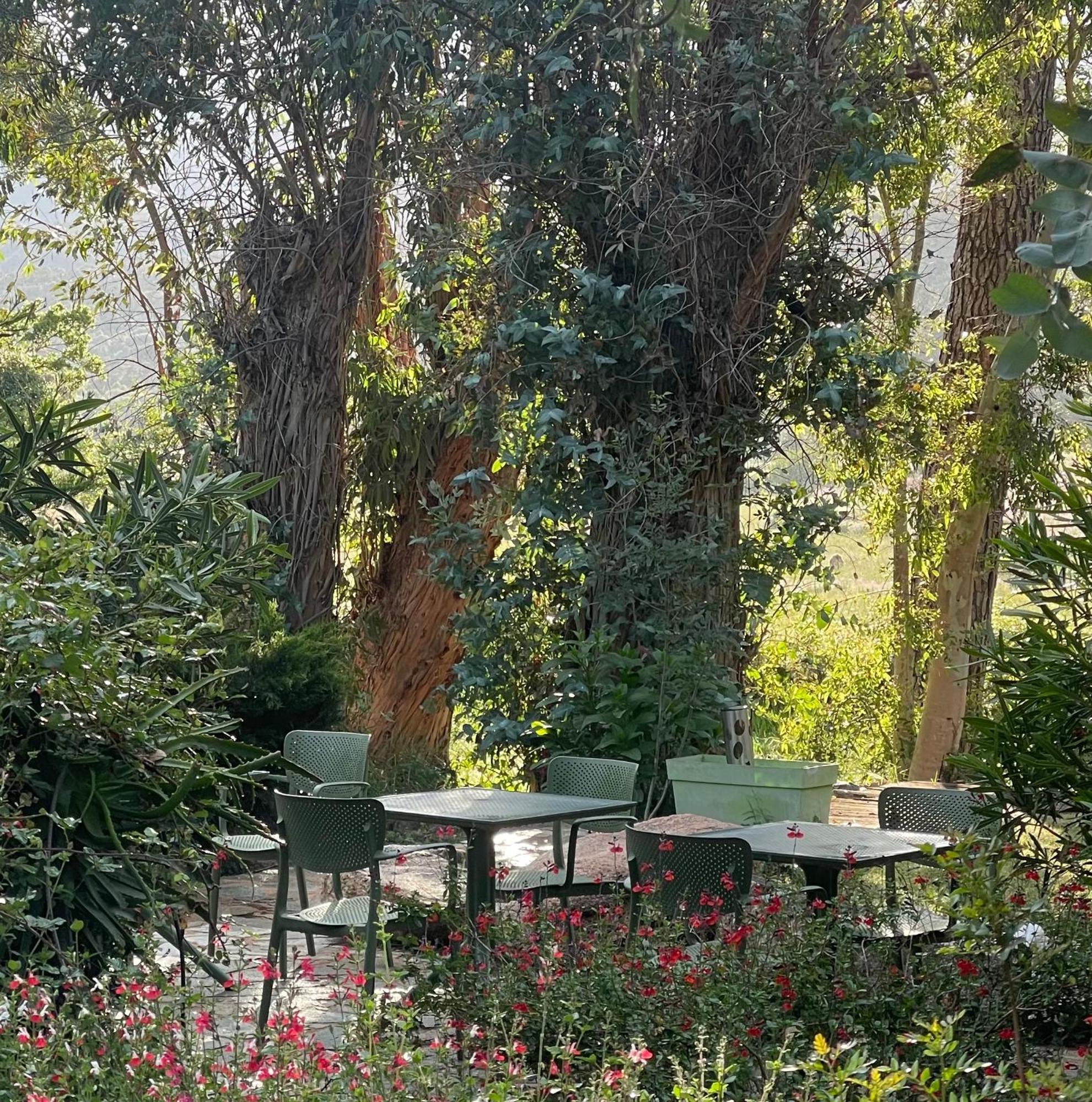 D'hotes Barraconu Bed & Breakfast