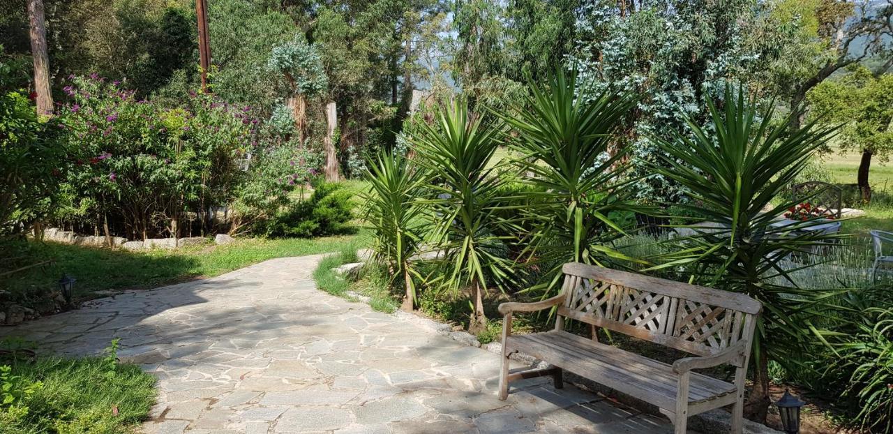 Bed & Breakfast D'hotes Barraconu 3*